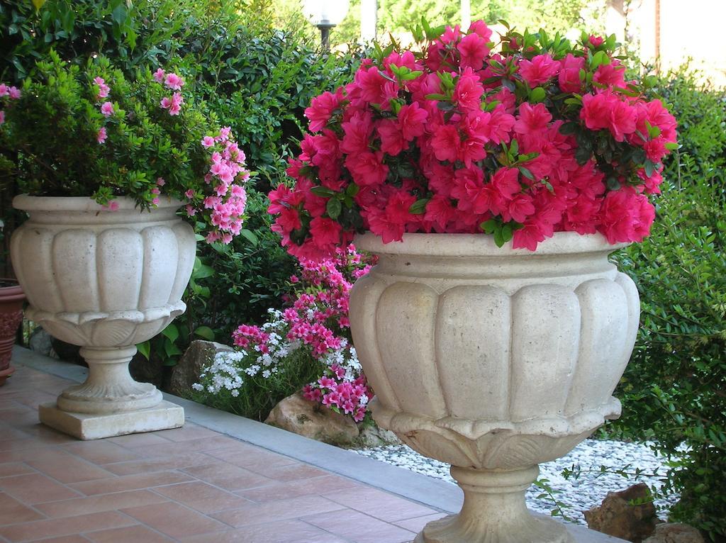 B&B Anna Moncalieri Luaran gambar